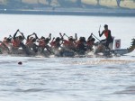 Diamond Phoenix Dragon Boat Club Canberra